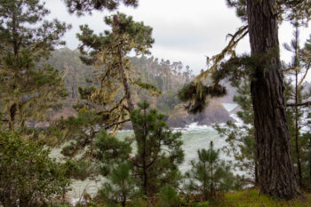 russian gulch park