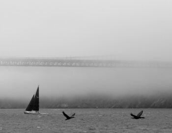 golden gate bridge in the mist
