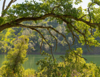 view of folsom lake in color