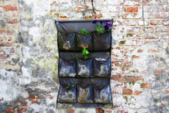hanging garden