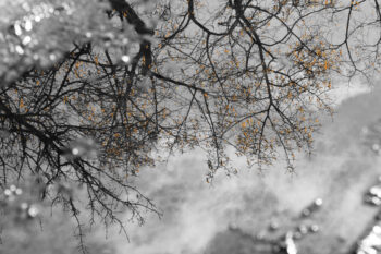 a bit of color in the reflection