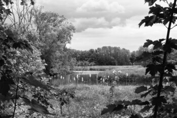 river leie in bourgoyen park