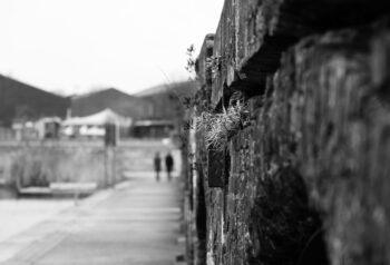 people walking in the distance