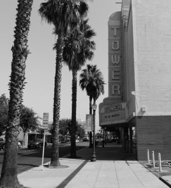 tower theatre and palm trees