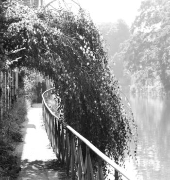 small path along the water