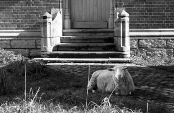 sitting guard
