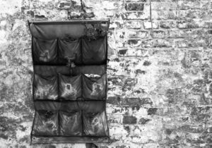 hanging garden in b&w