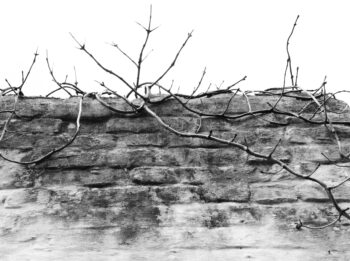 over the wall