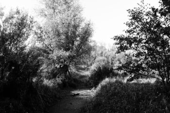 dry creek