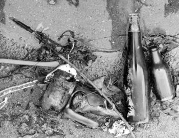 still life on the beach