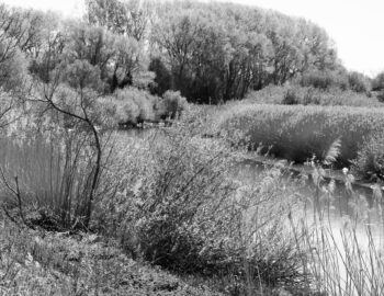 leie river