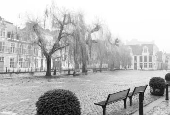 on a foggy day