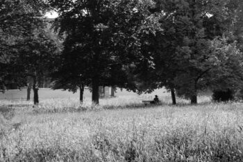 sitting alone in a small park