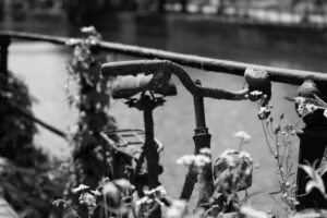 what is it with all those bikes in ghent?