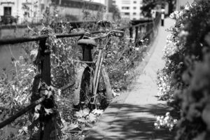 another abandoned bike