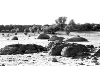 dry folsom lake